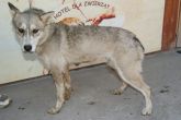 23.08.2013 SIERADZ GMINA SUKA 55747